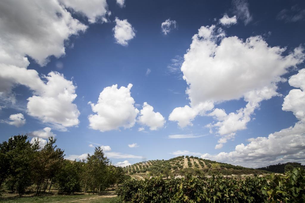 Agriturismo Il Giriatello Crotone Kültér fotó
