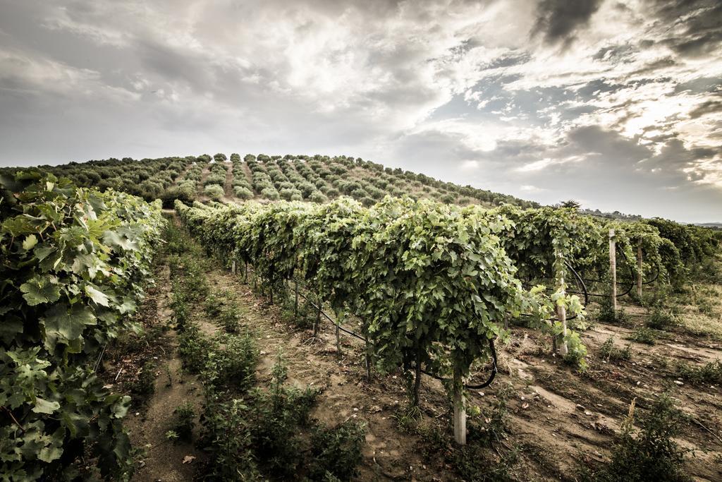 Agriturismo Il Giriatello Crotone Kültér fotó