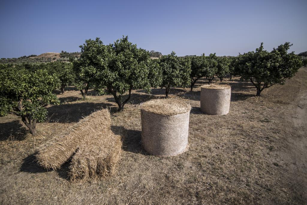 Agriturismo Il Giriatello Crotone Kültér fotó