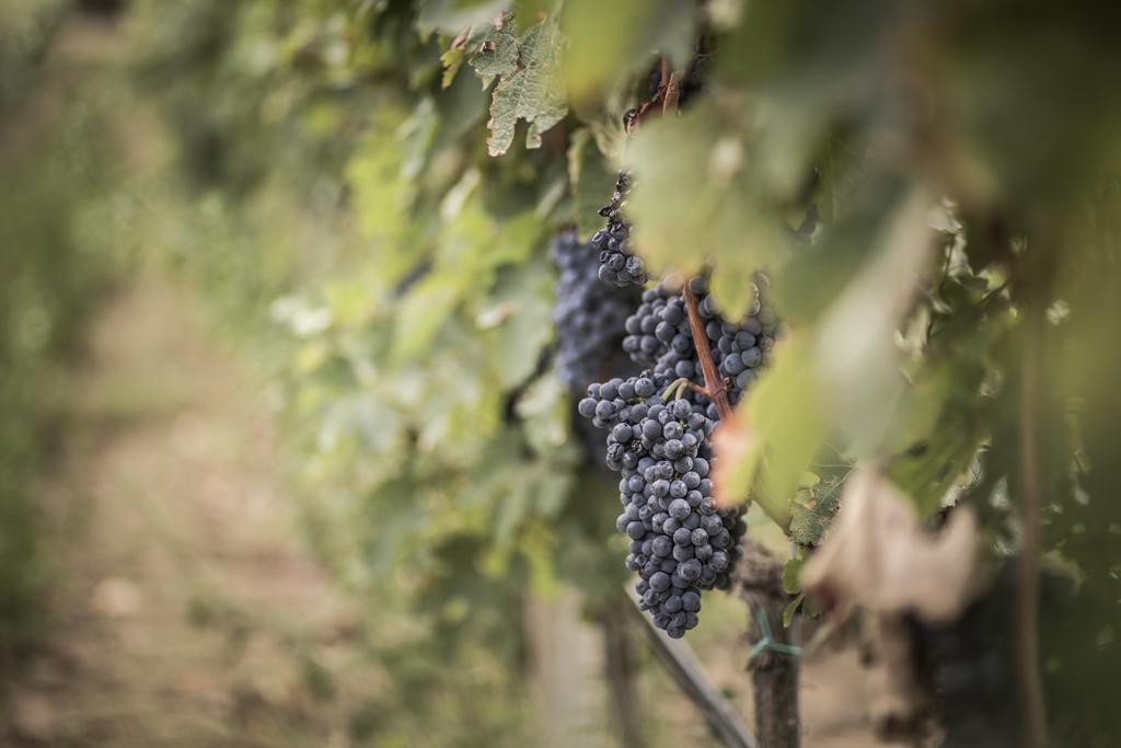 Agriturismo Il Giriatello Crotone Kültér fotó