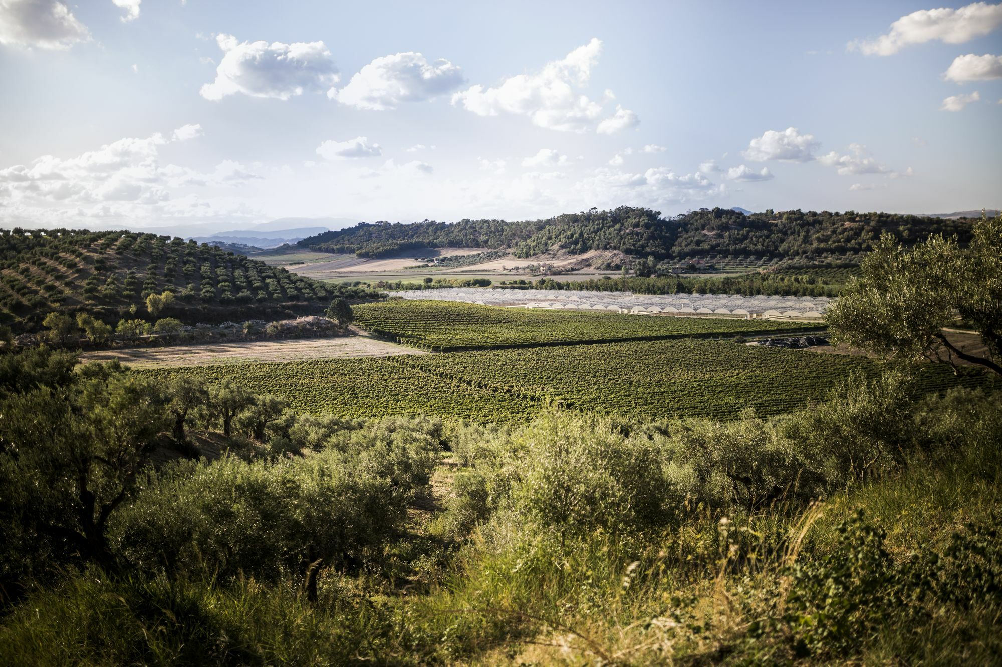 Agriturismo Il Giriatello Crotone Kültér fotó